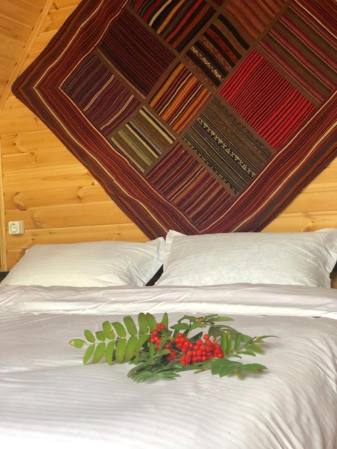 Kazbegi Kuro Cottages Zewnętrze zdjęcie
